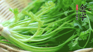 挑選鮮嫩的香菜，洗干凈后，處理成小段。